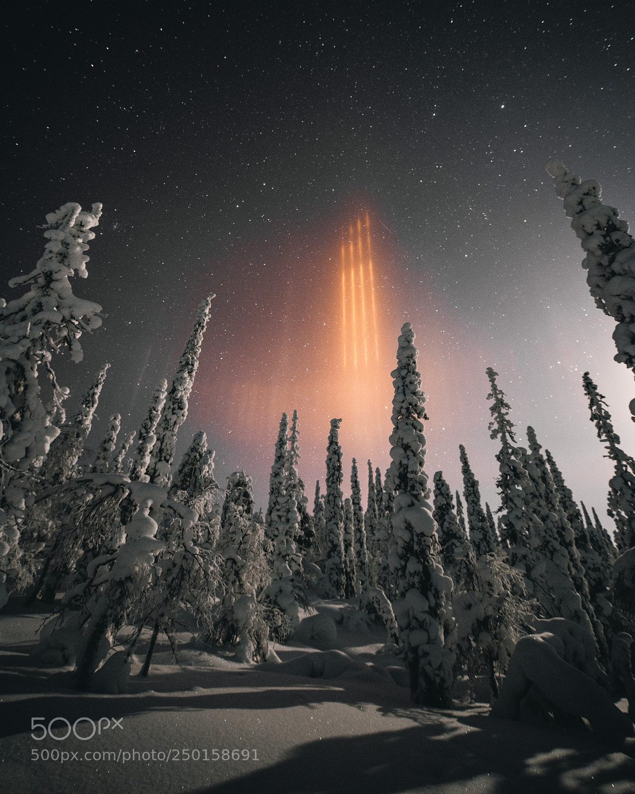 Nikon D850 sample photo. Light pillars photography