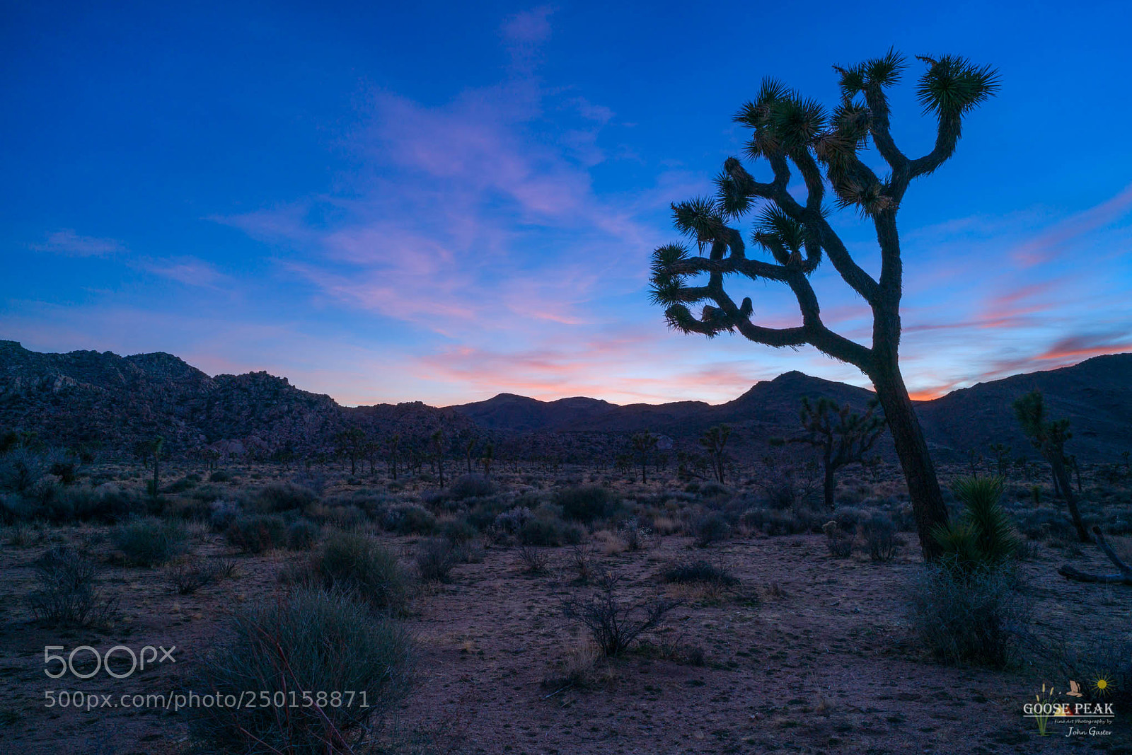 Sony a7R II sample photo. Magenta sky photography