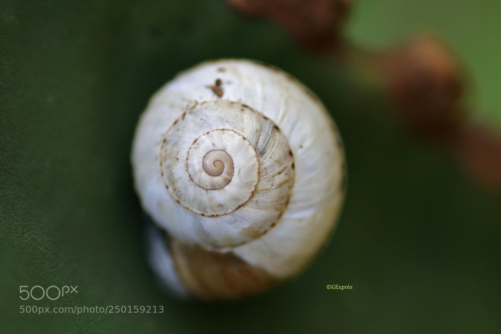Canon EOS 80D sample photo. Introversión photography