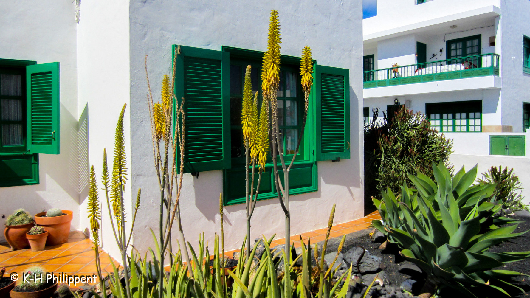 Canon PowerShot ELPH 300 HS (IXUS 220 HS / IXY 410F) sample photo. Lanzarote (spain), the front yard / der vorgarten photography