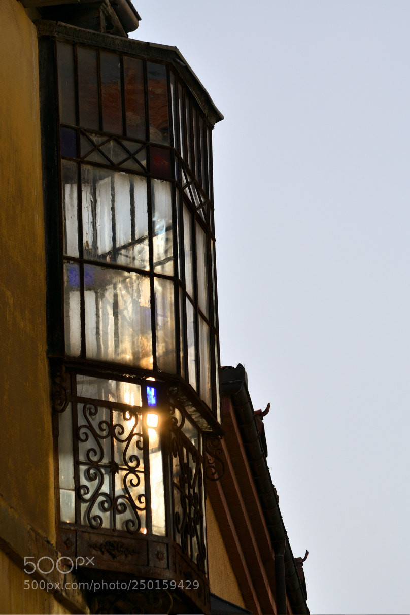 Nikon D3100 sample photo. Untitled photography