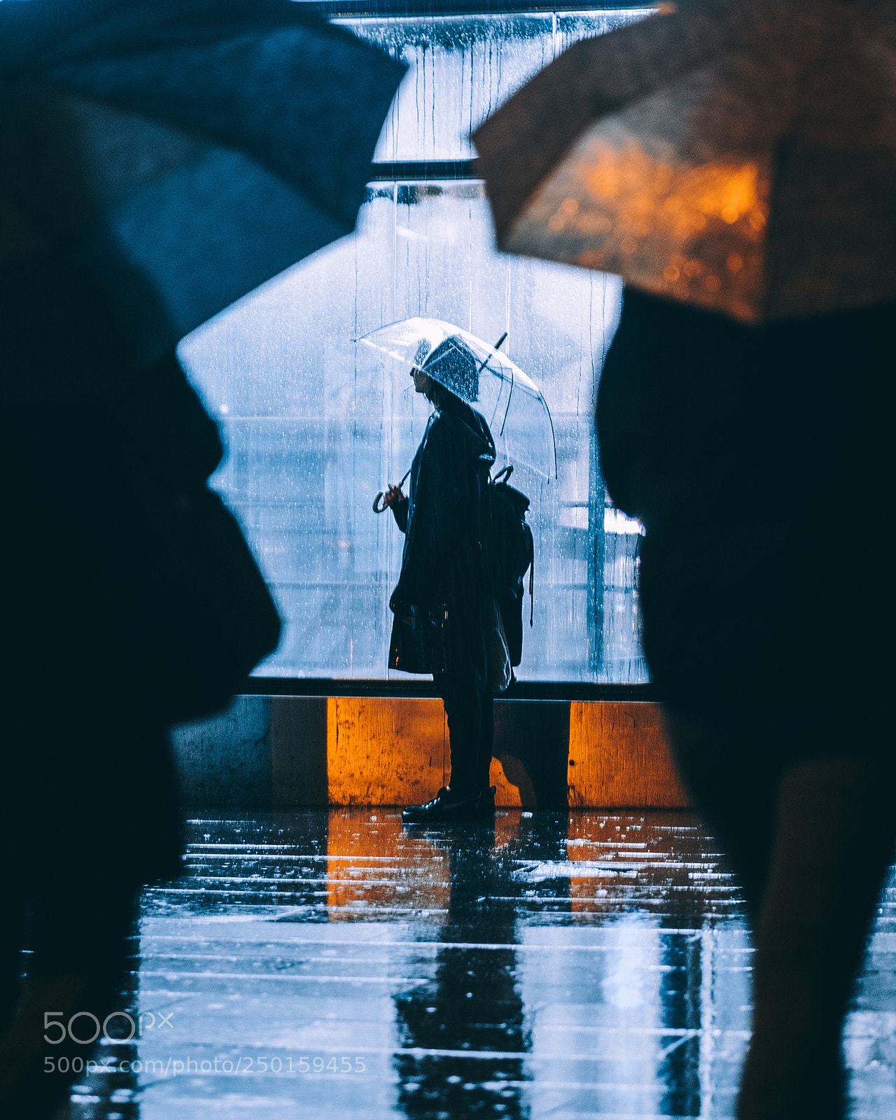 Sony a7 II sample photo. ? photography
