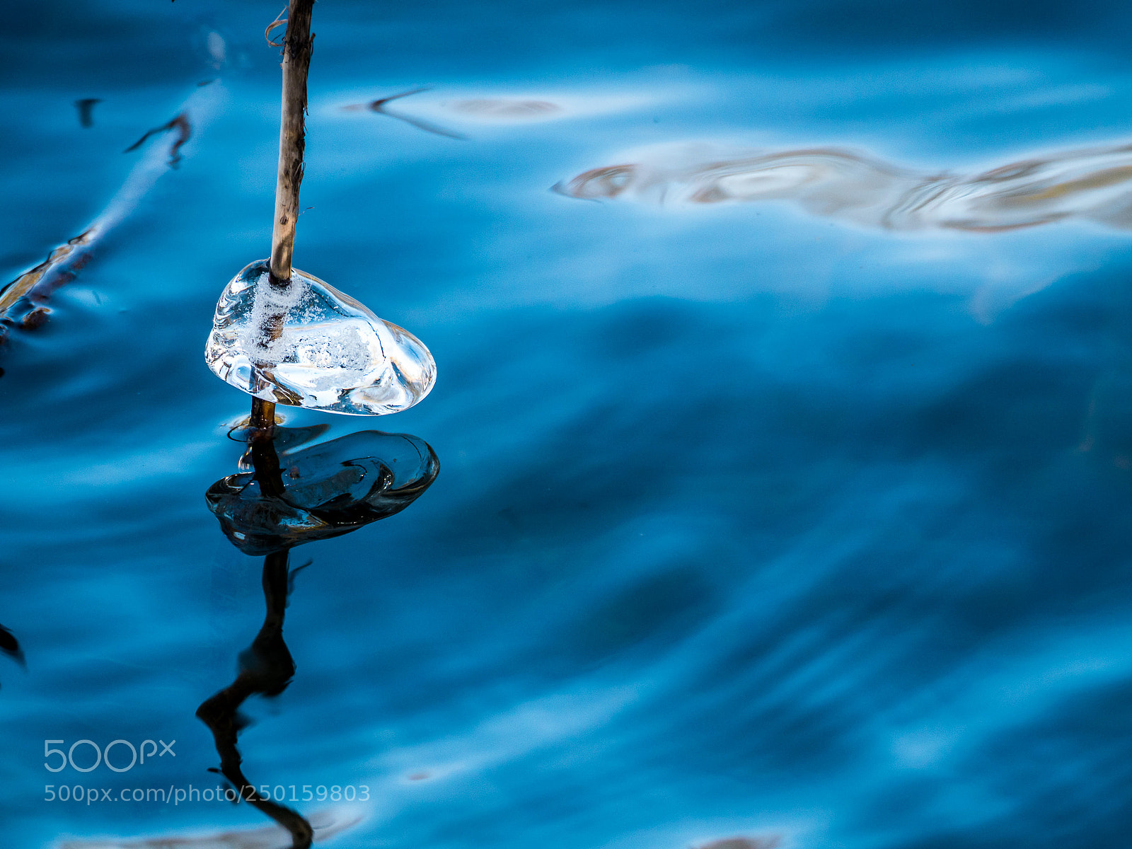 Olympus OM-D E-M10 sample photo. Ice drop photography