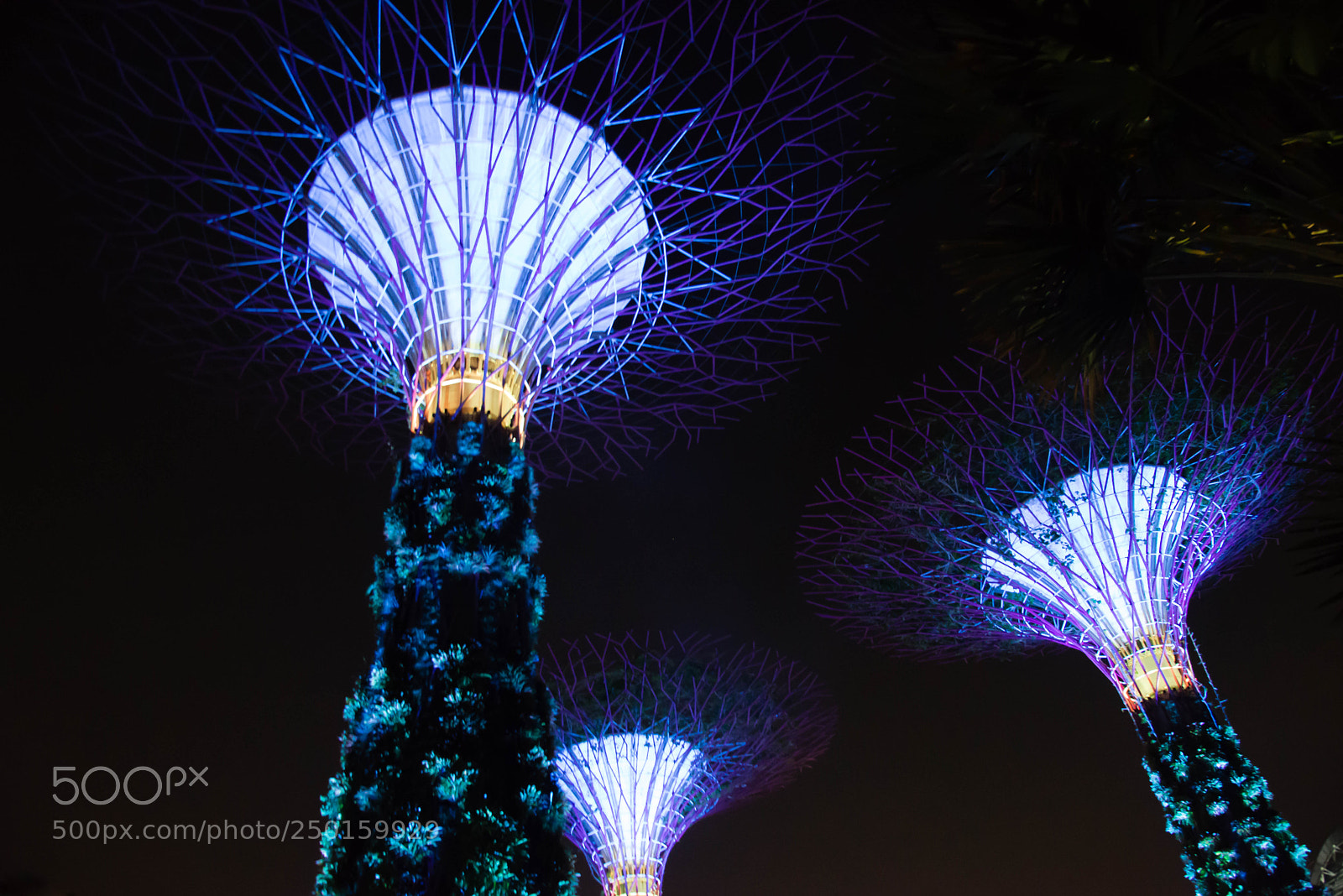 Nikon D800 sample photo. Singapour photography