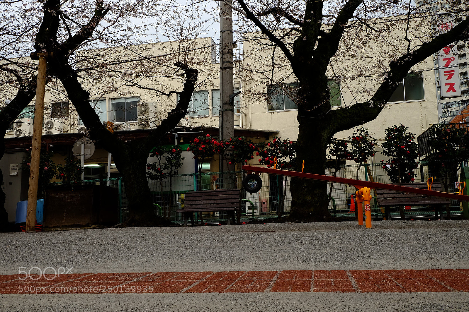 Fujifilm X-E2 sample photo. 00078427.jpg photography