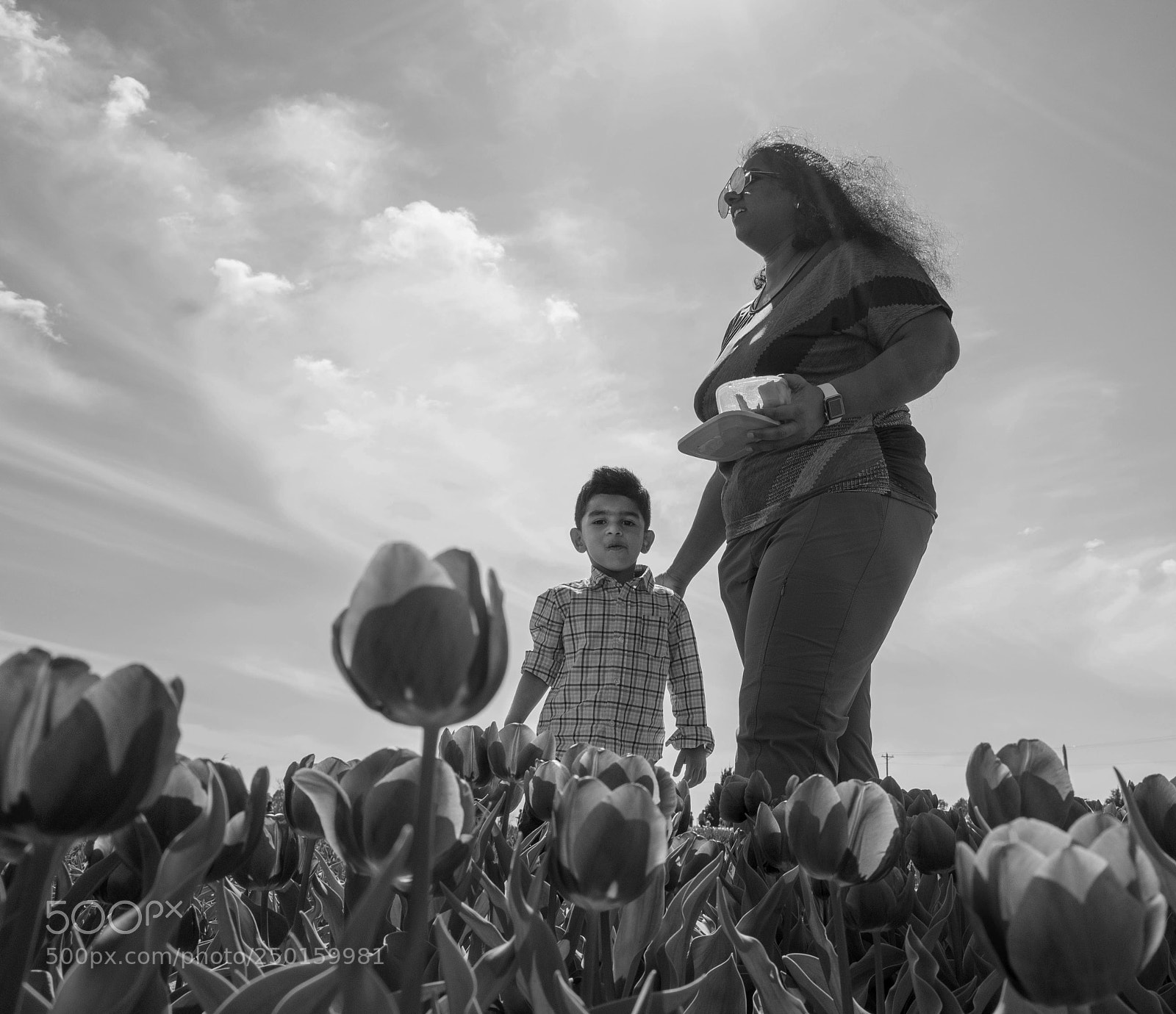 Ricoh GR II sample photo. Looking at tulips with photography