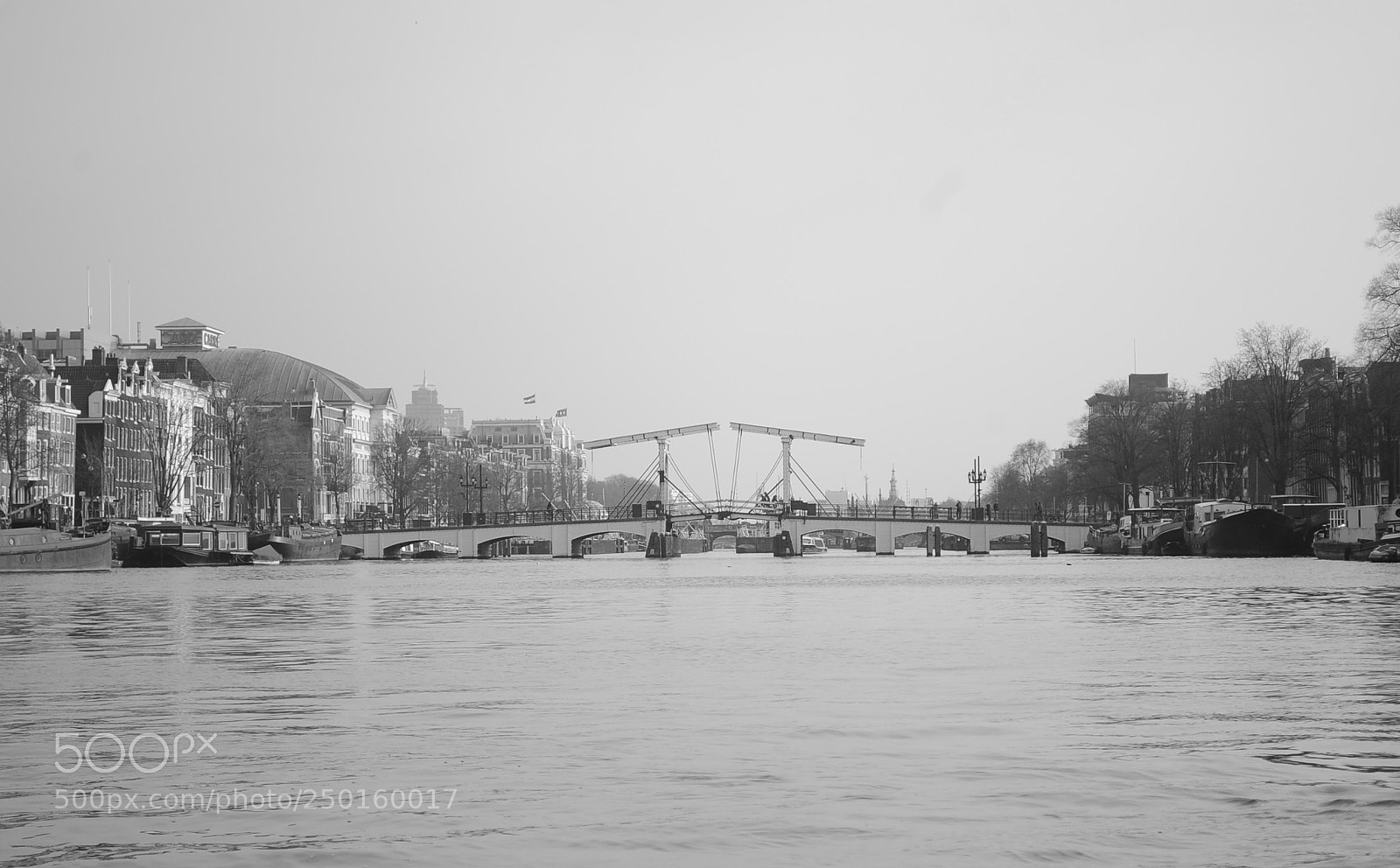 Nikon D3 sample photo. Once upon a river photography
