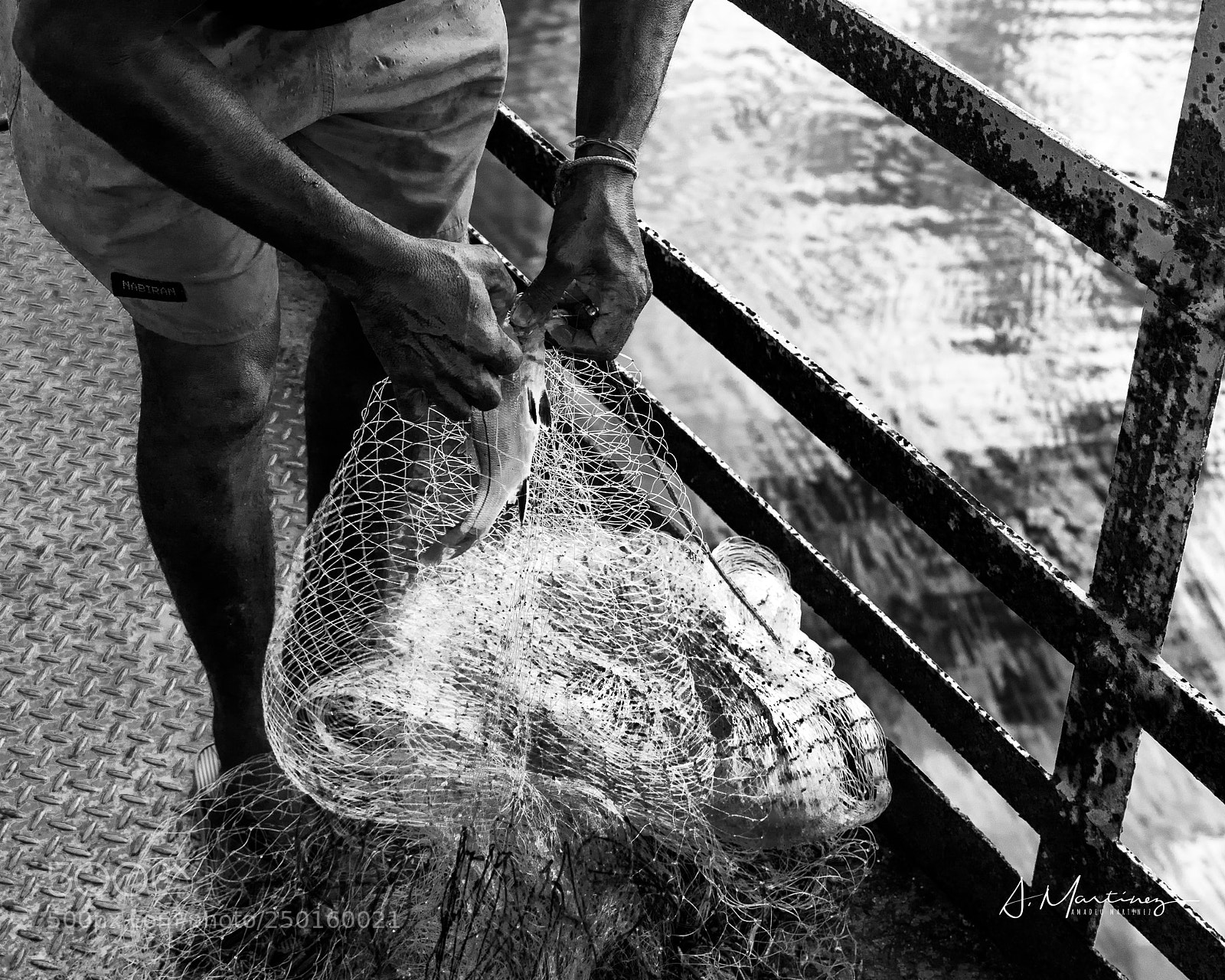 Canon EOS 5D Mark IV sample photo. Untitled photography