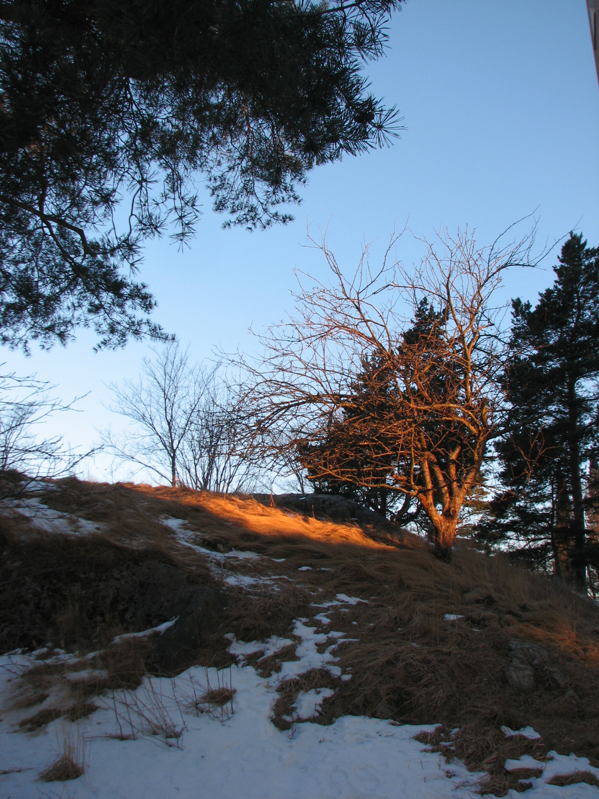 Canon POWERSHOT S3 IS sample photo. Sunlight photography