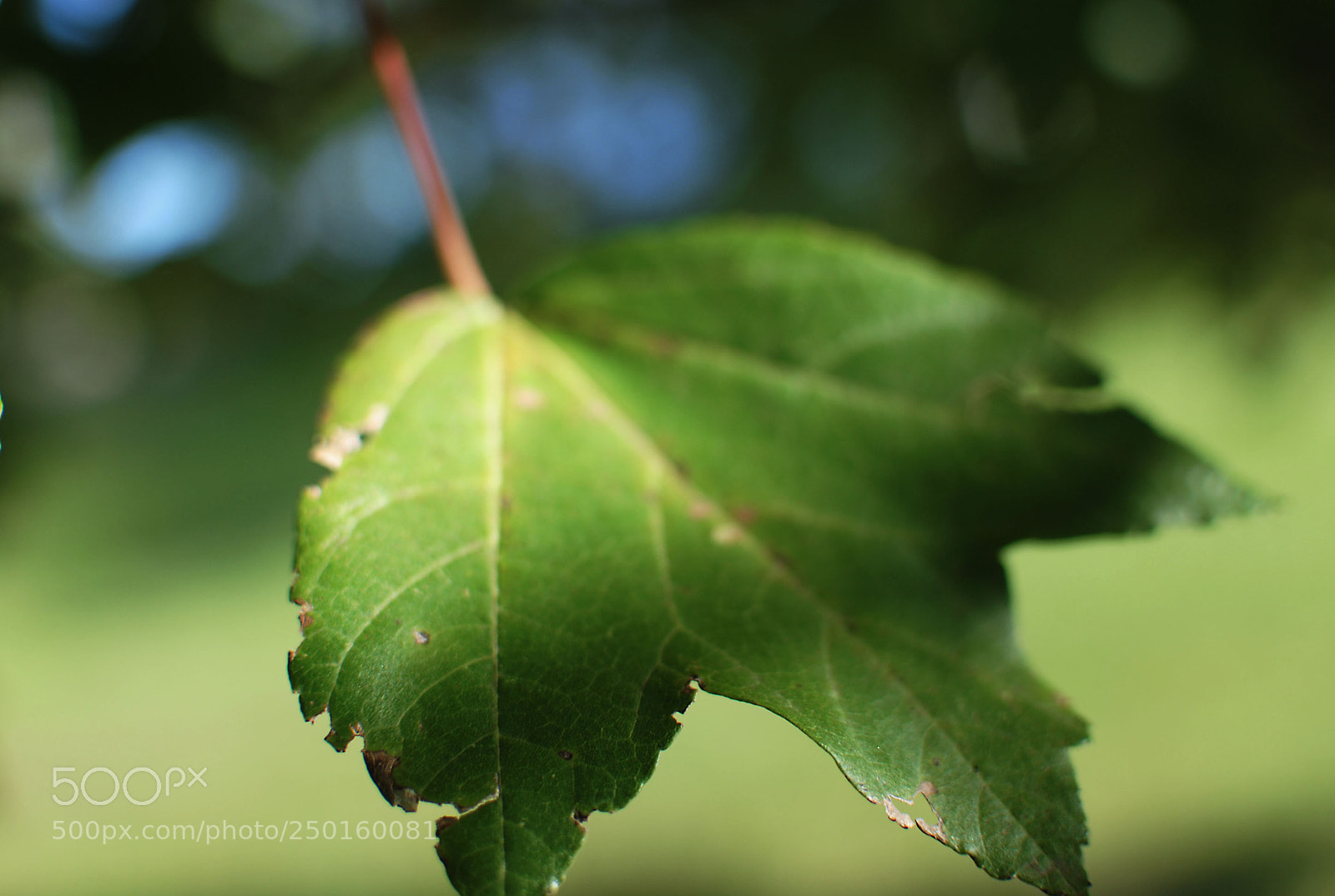 Nikon D3000 sample photo. Untitled photography