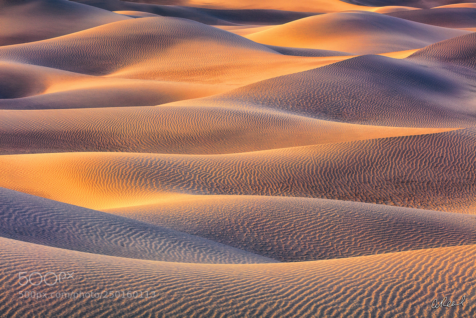 Canon EOS 5DS R sample photo. Mr sandman photography