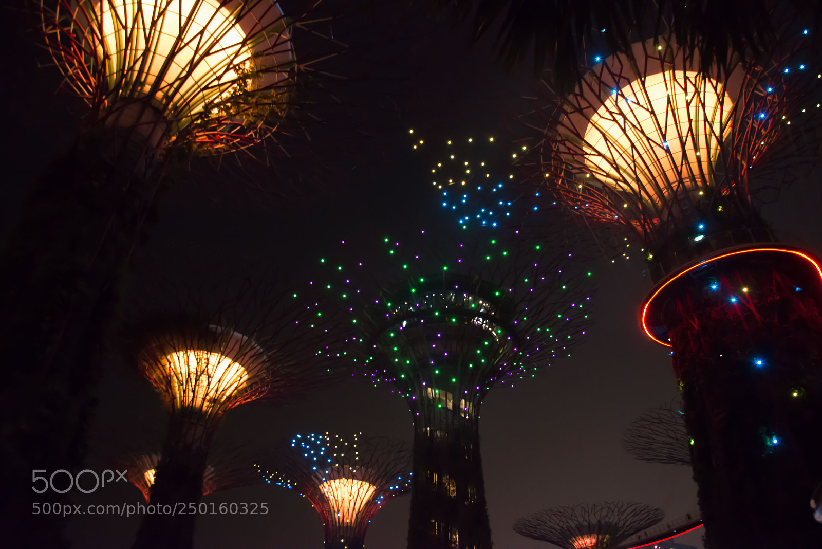 Nikon D800 sample photo. Singapour photography