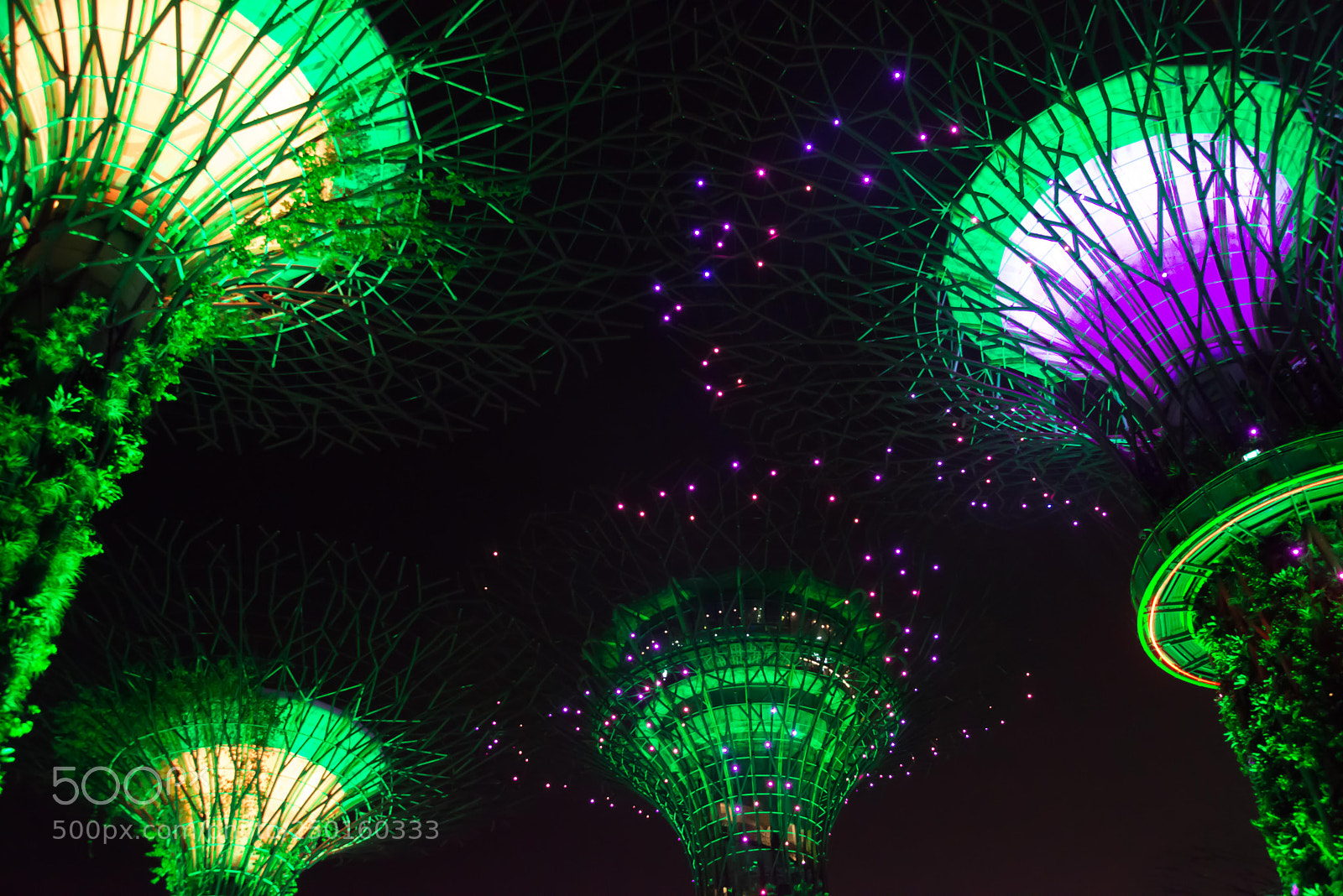 Nikon D800 sample photo. Singapour photography