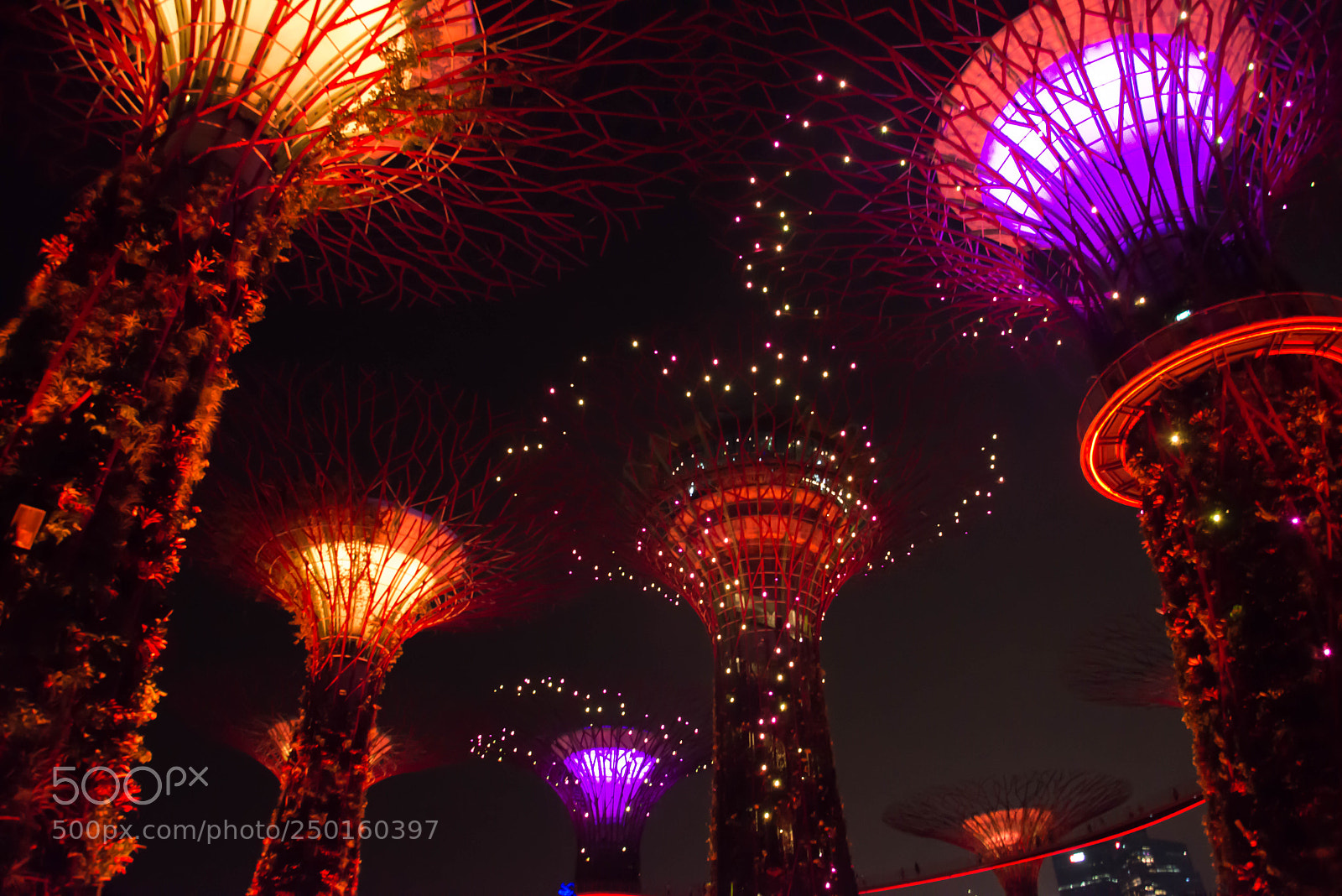 Nikon D800 sample photo. Singapour photography