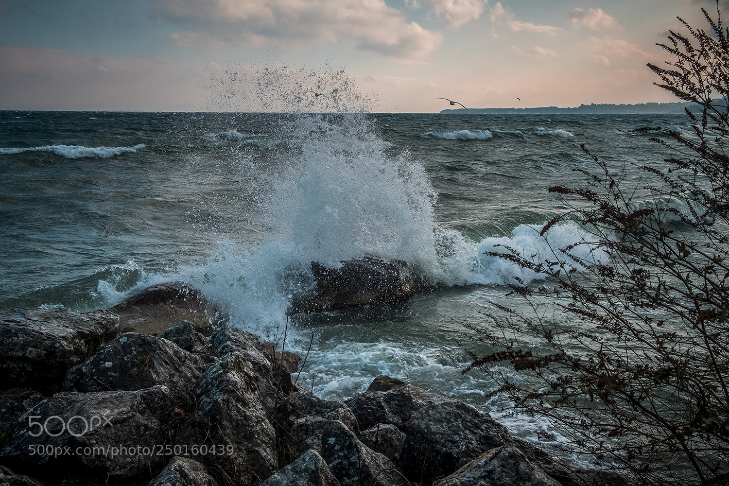 Fujifilm X-T2 sample photo. Lac léman photography