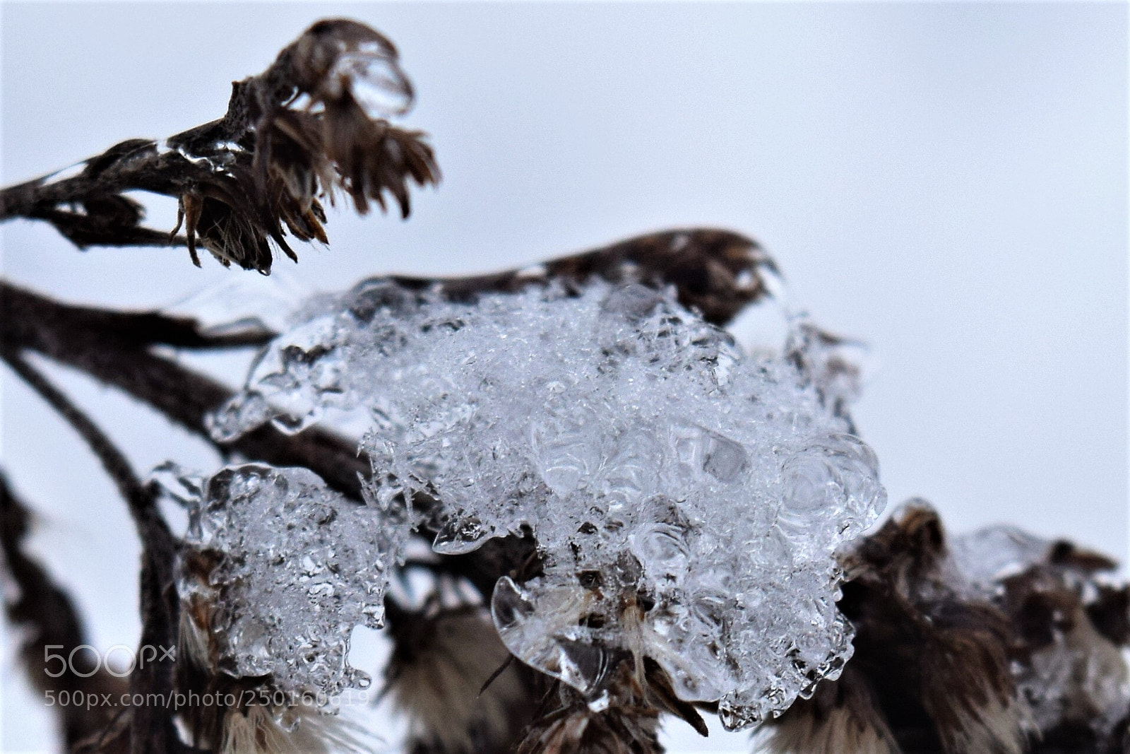 Nikon D3300 sample photo. Ledara photography