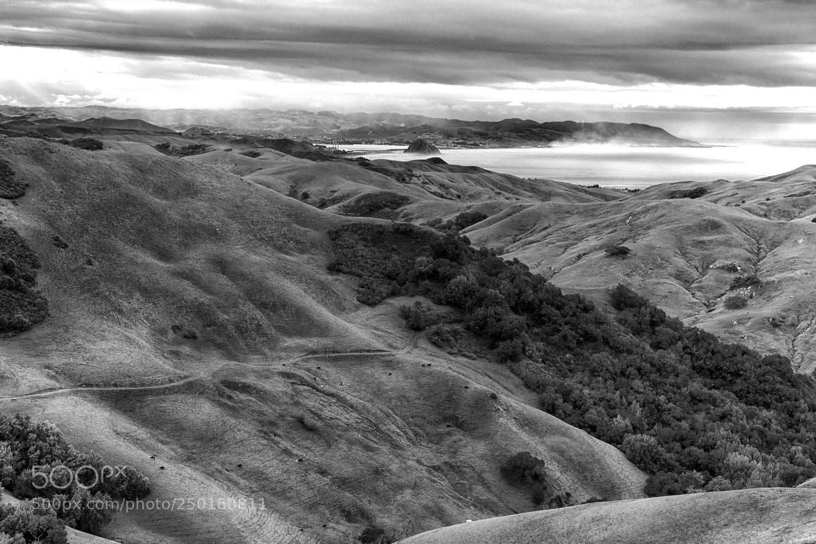 Nikon D800E sample photo. California hillside photography