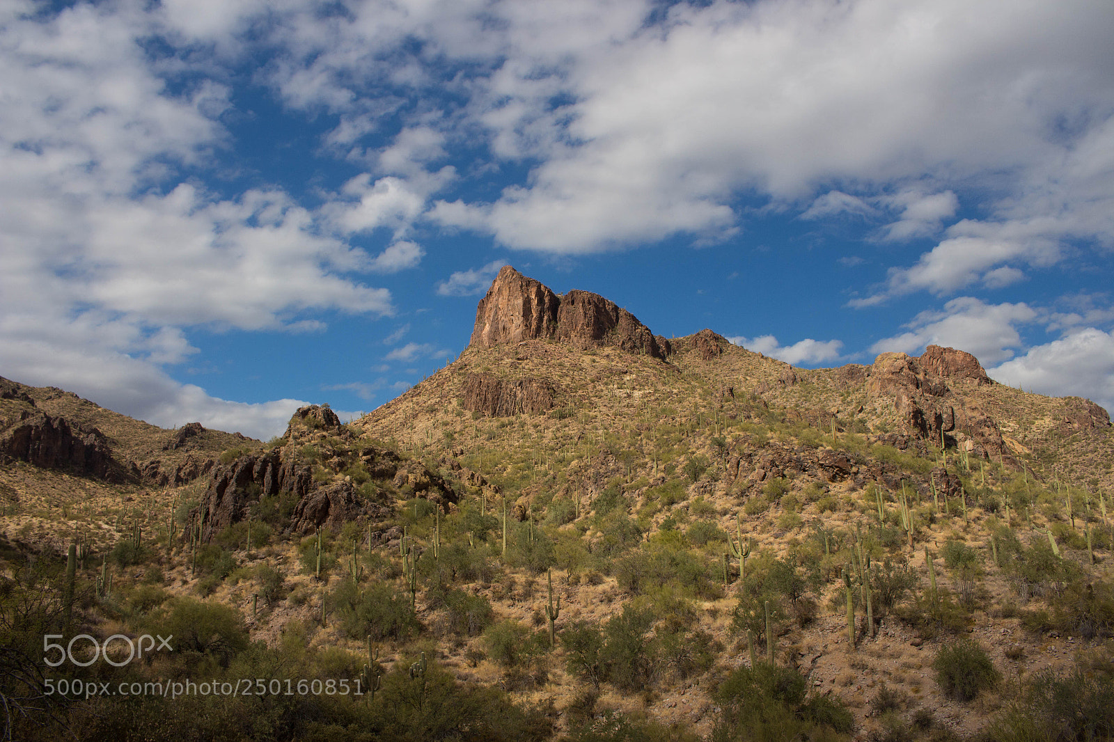 Canon EOS 700D (EOS Rebel T5i / EOS Kiss X7i) sample photo. Cactus and clouds photography