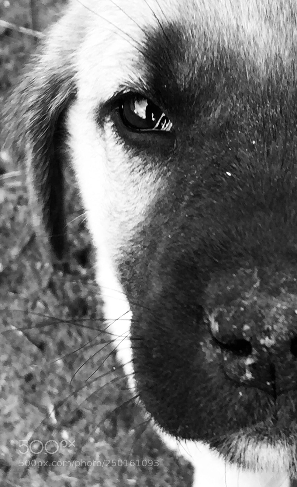 Apple iPhone 6 sample photo. Untitled photography
