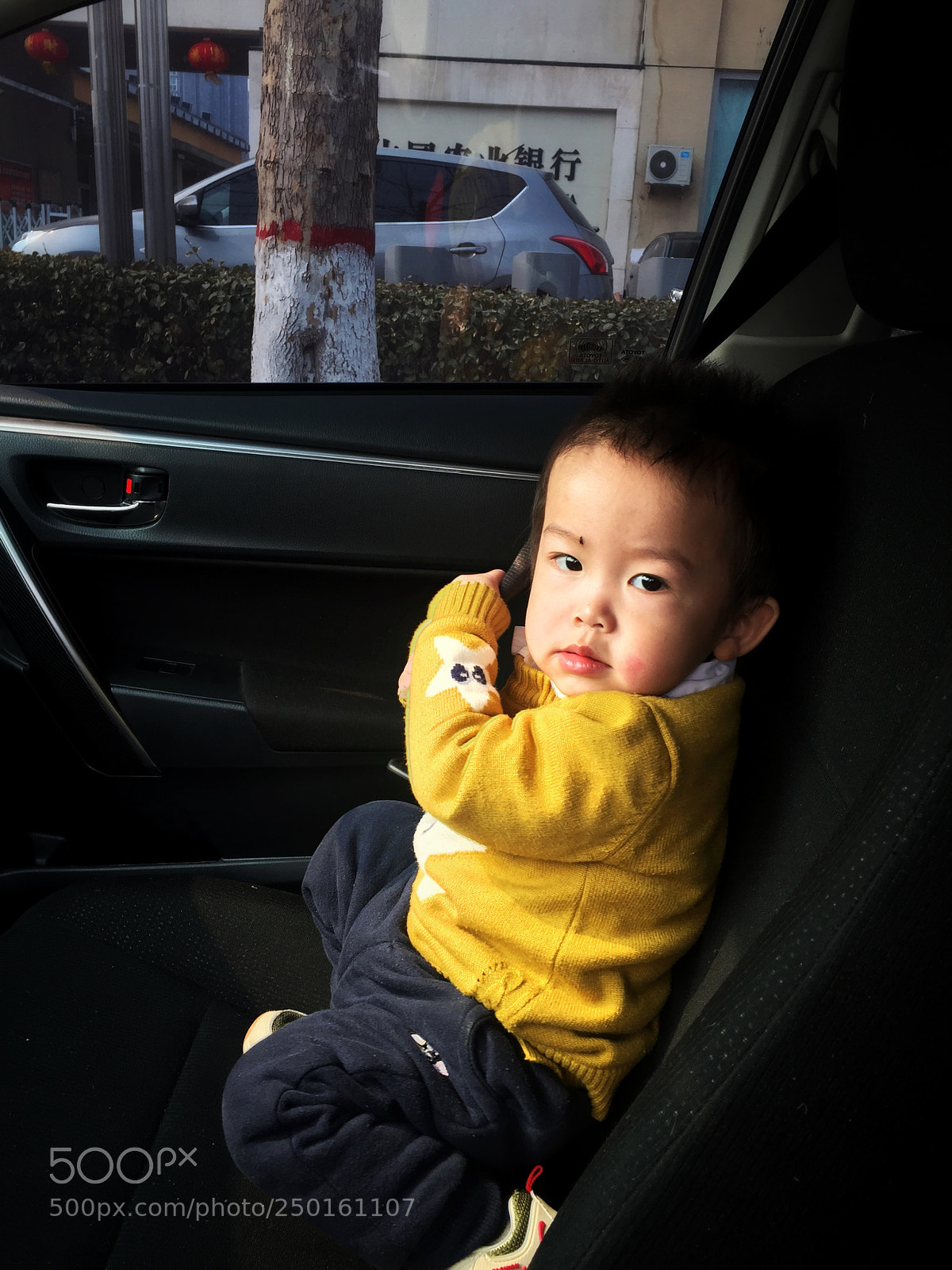 Apple iPhone 6 Plus sample photo. Untitled photography