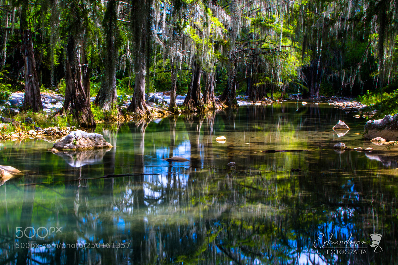 Nikon D7100 sample photo. Rio ramos photography