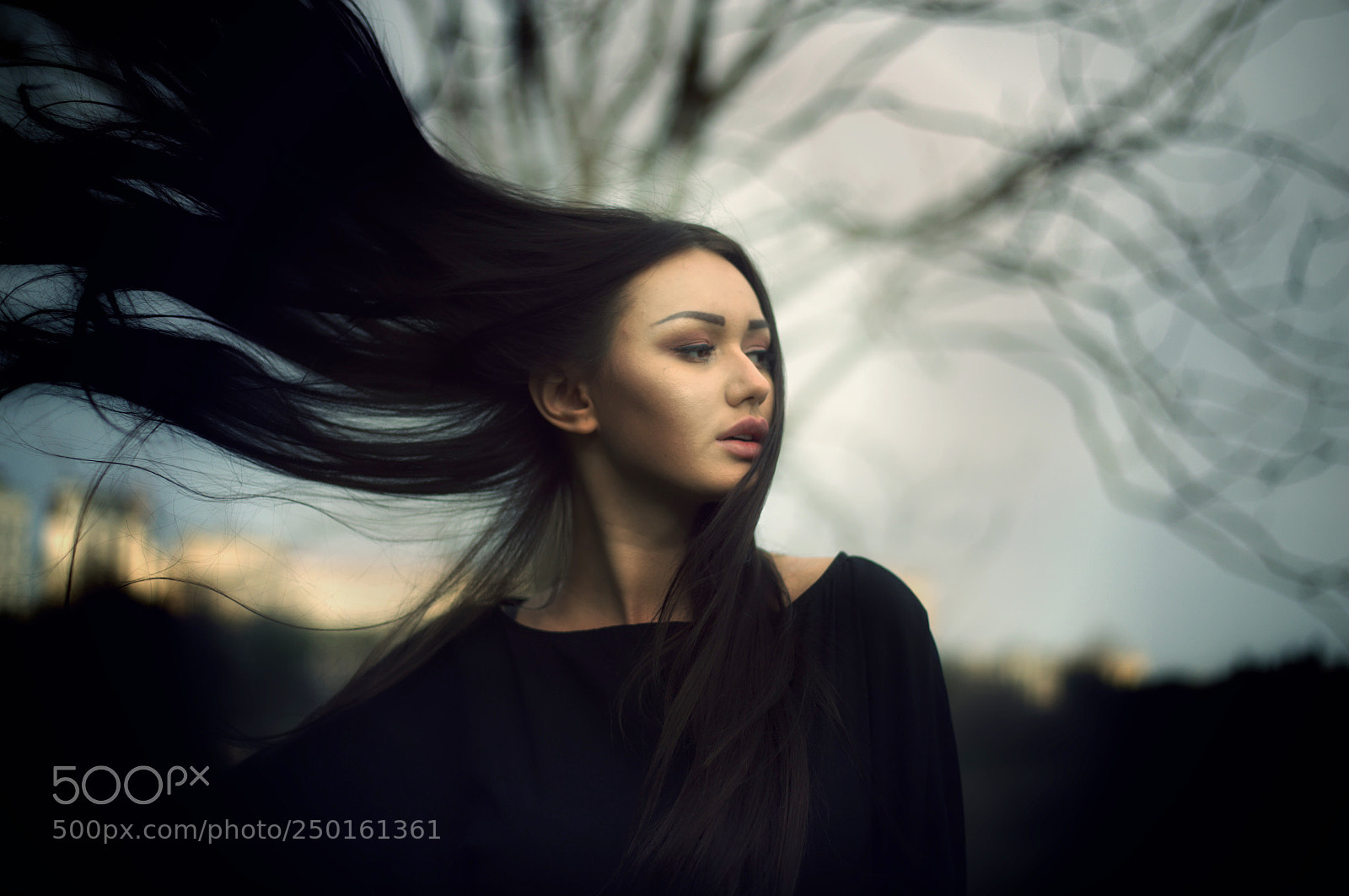 Nikon D700 sample photo. Spirit of dreams photography