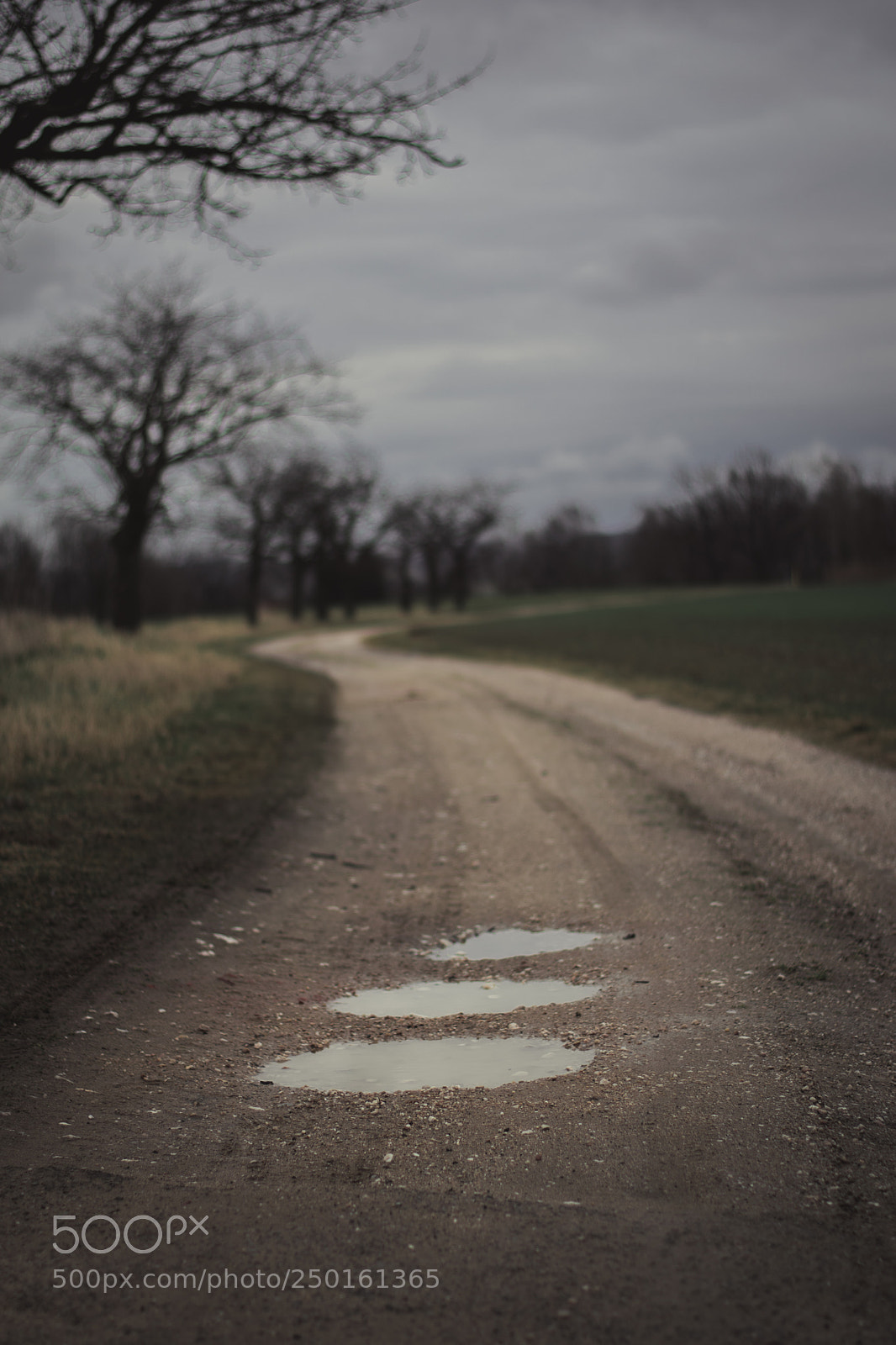 Nikon D3300 sample photo. Feldweg. village-homeview photography