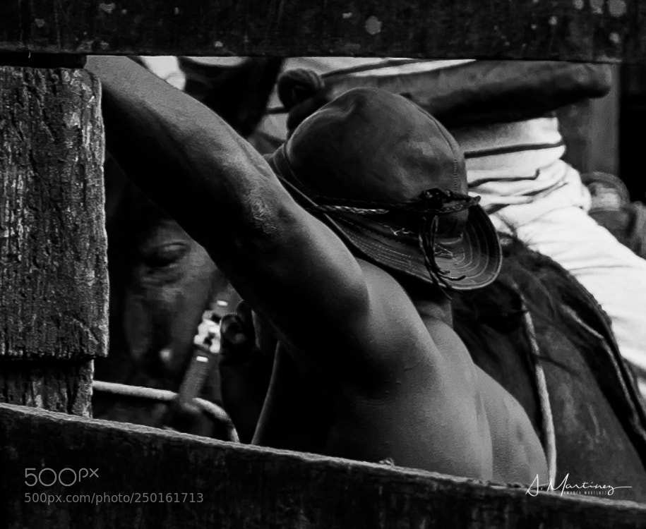 Canon EOS 5D Mark IV sample photo. Untitled photography