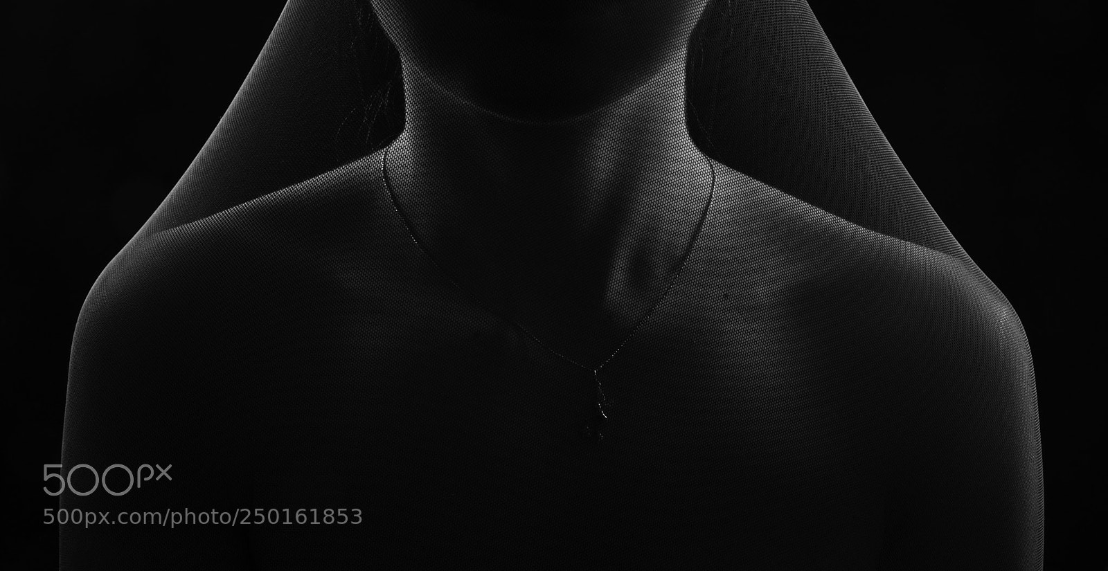 Canon EOS 5D Mark IV sample photo. Untitle photography