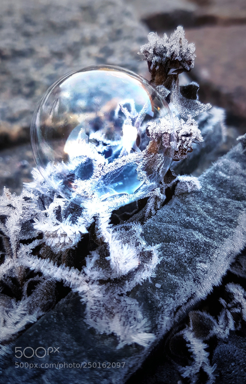 Samsung Galaxy S7 Edge sample photo. Frozen photography