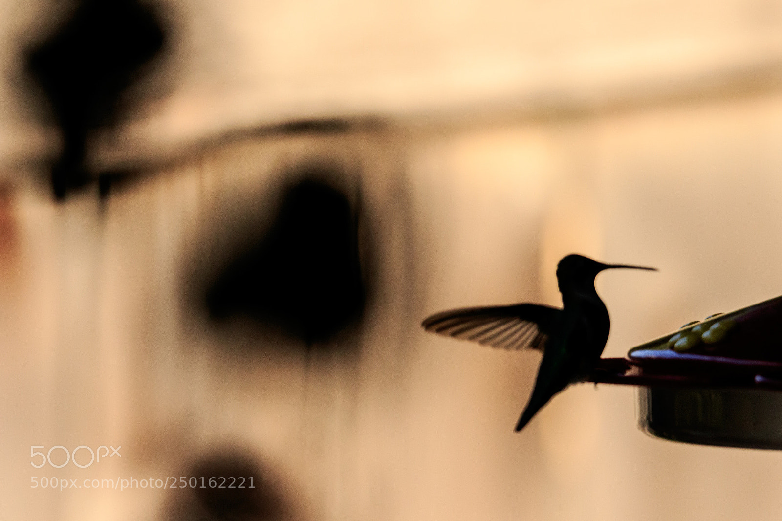 Canon EOS 7D Mark II sample photo. Hummer photography