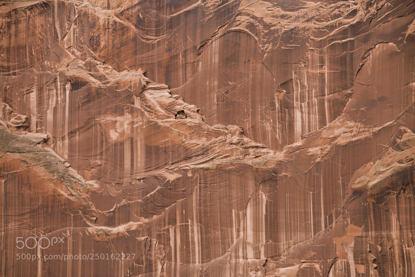Nikon D800 sample photo. Nature the artist 2 photography