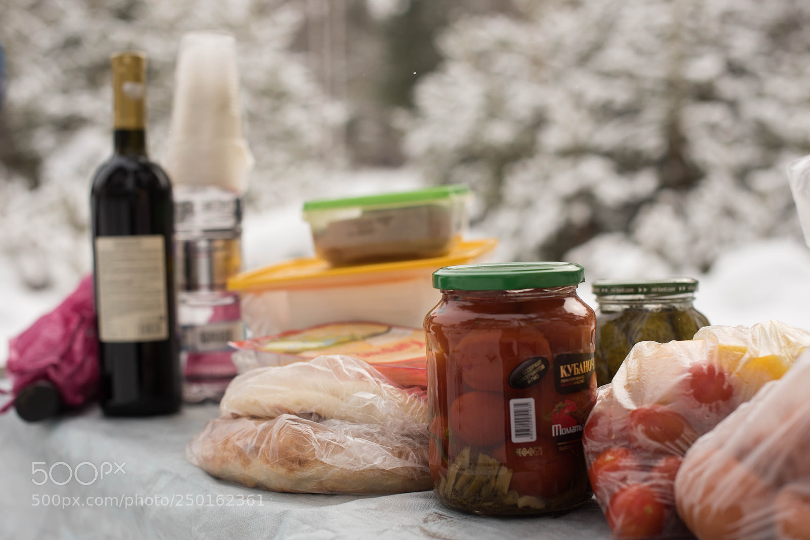 Nikon D810 sample photo. Winter still life photography