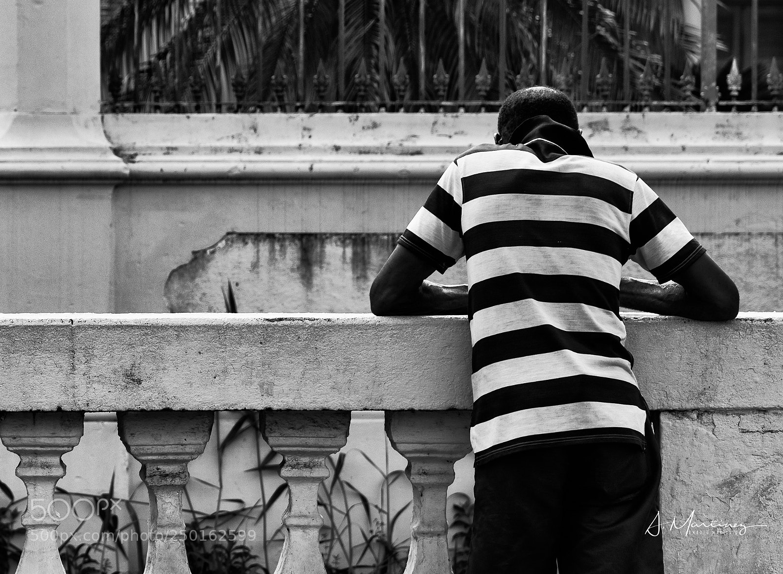 Canon EOS 5D Mark IV sample photo. Untitled photography
