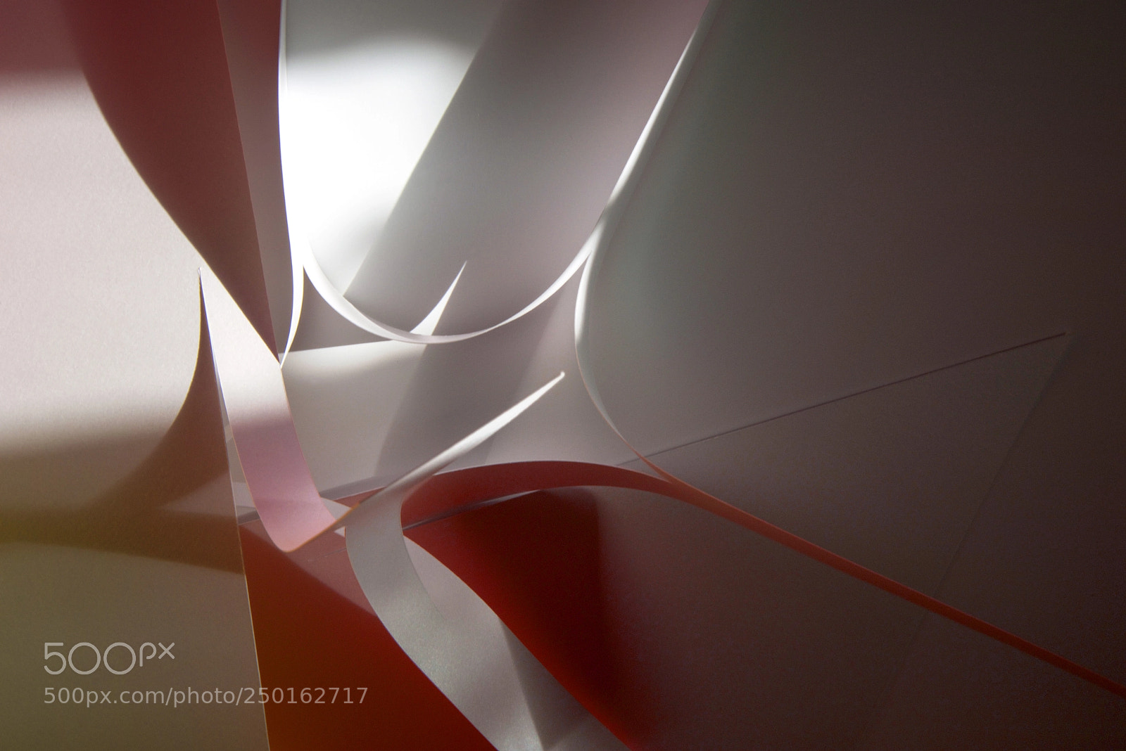 Nikon D810 sample photo. Gathering under the light photography