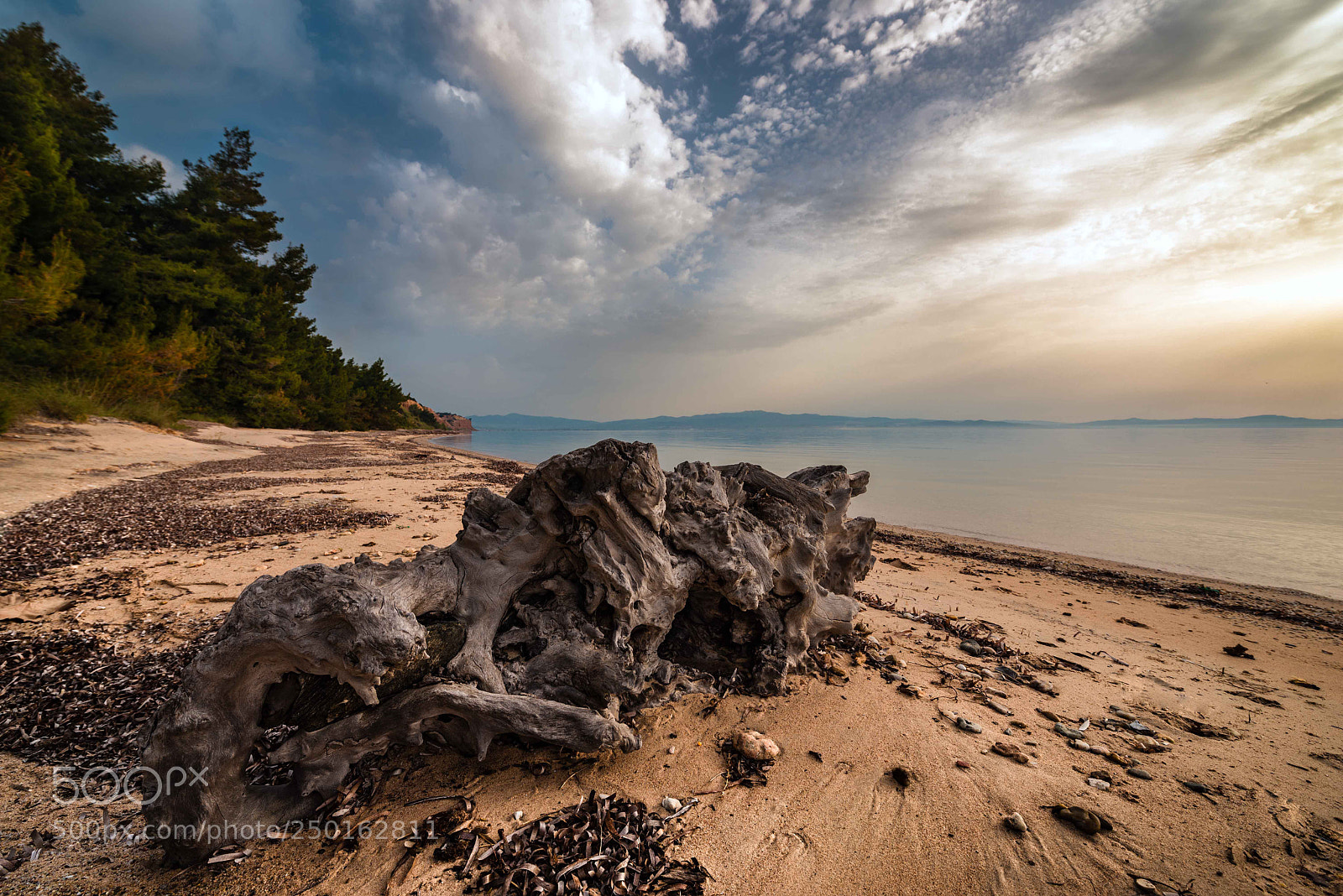 Nikon D600 sample photo. Morning at the sea. photography