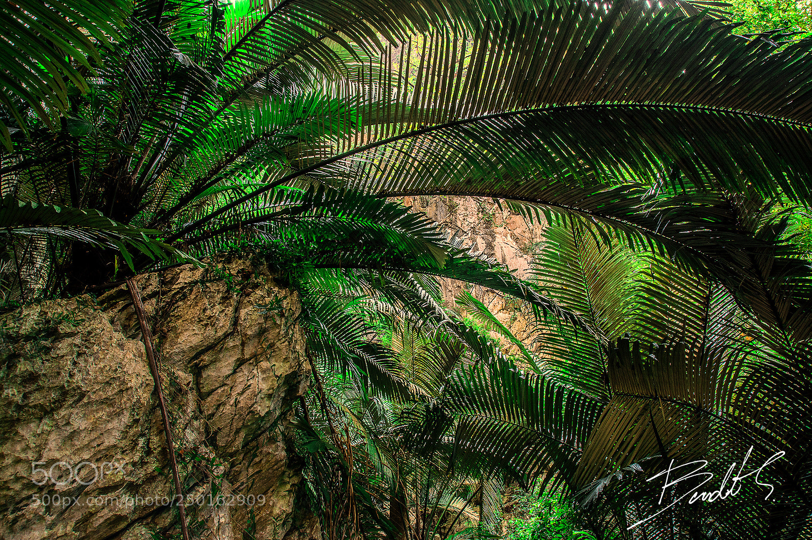 Nikon D7100 sample photo. Untitled photography