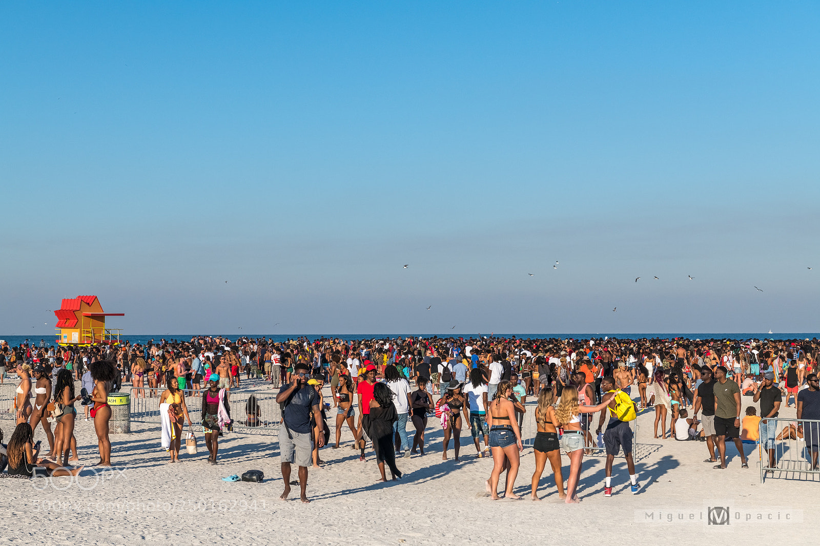 Nikon D850 sample photo. Spring break party photography