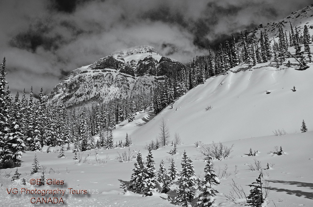Pentax K-5 IIs sample photo. Canadian rocky mountains photography