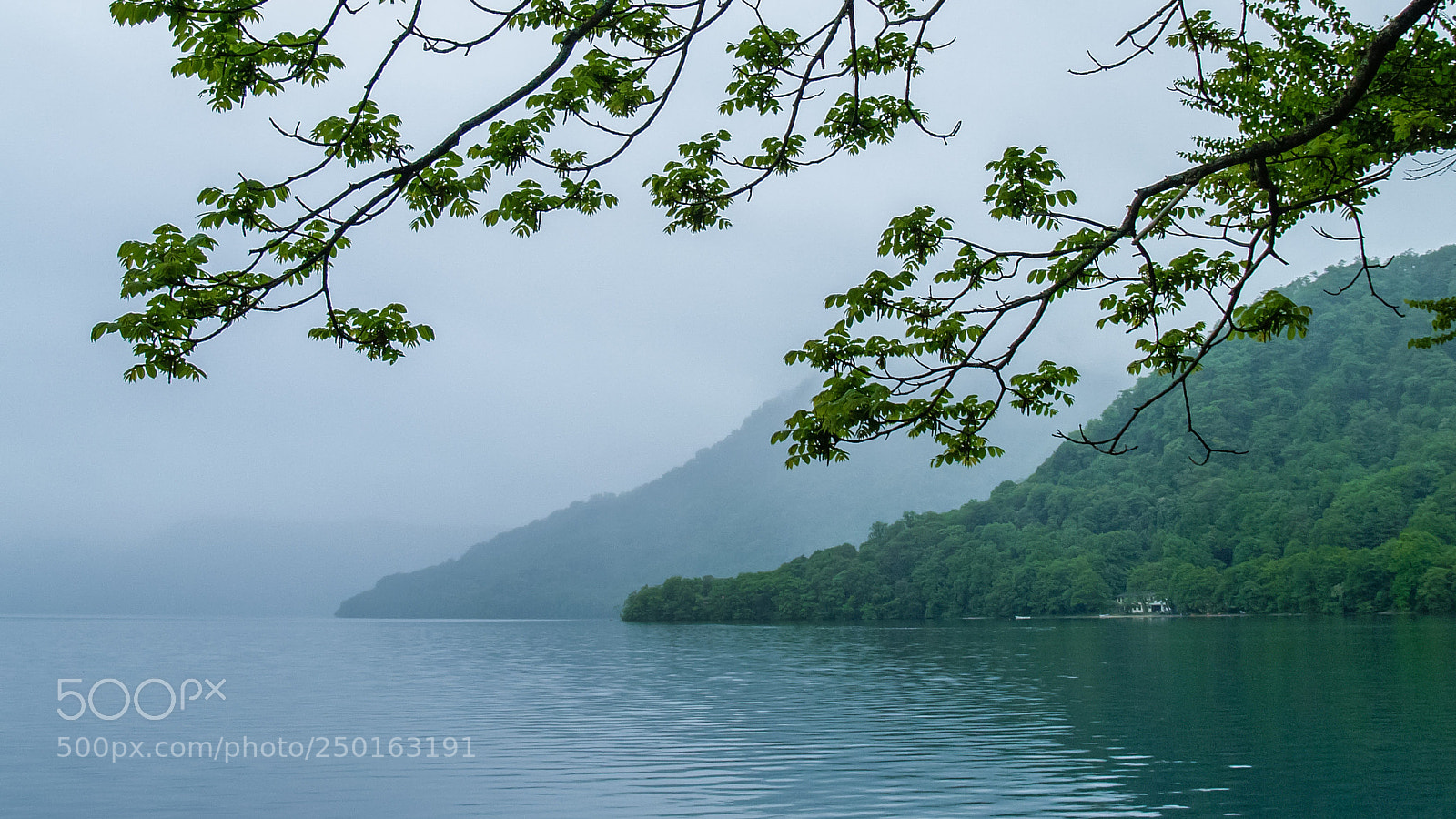 Olympus E-300 (EVOLT E-300) sample photo. Lakeside morning photography