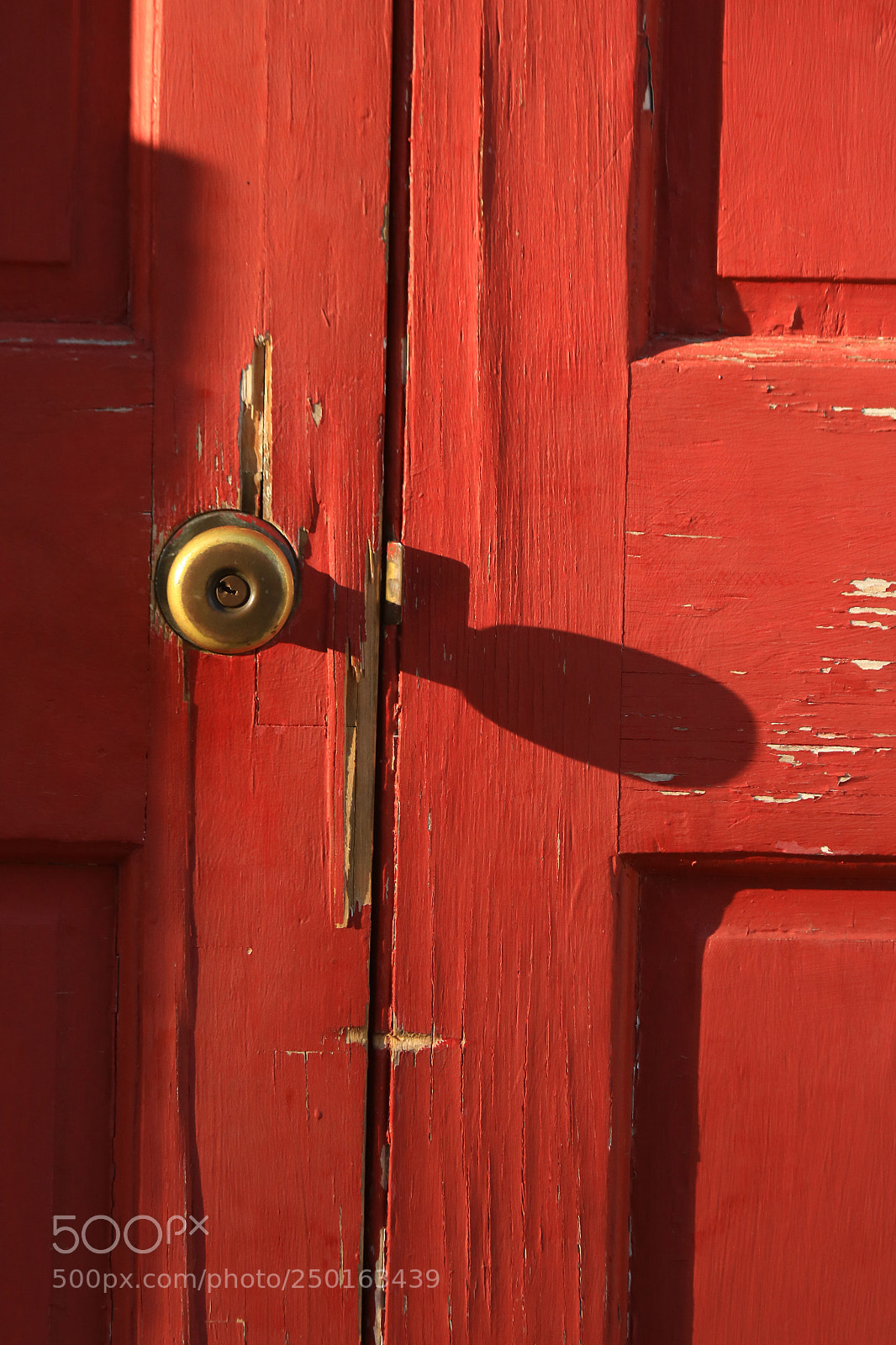 Canon EOS 750D (EOS Rebel T6i / EOS Kiss X8i) sample photo. Door light photography