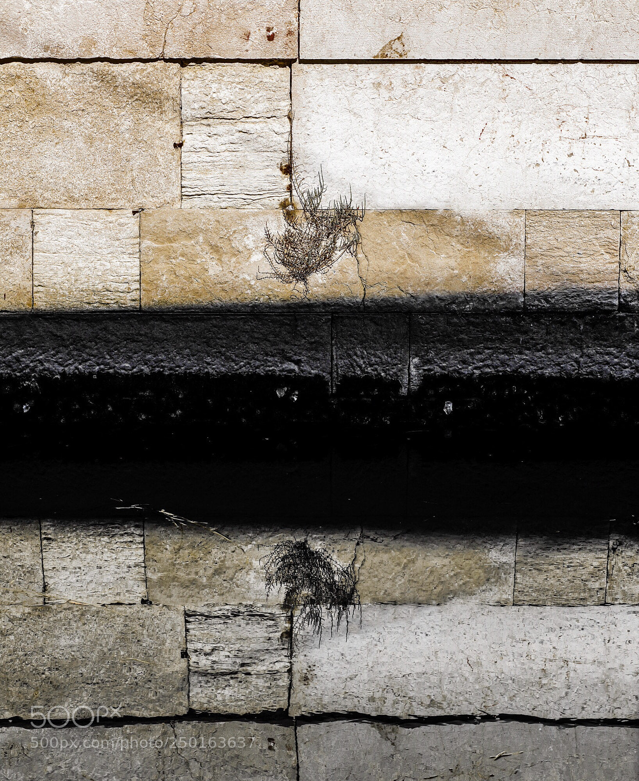 Canon EOS 5D Mark IV sample photo. Reflection in venice photography