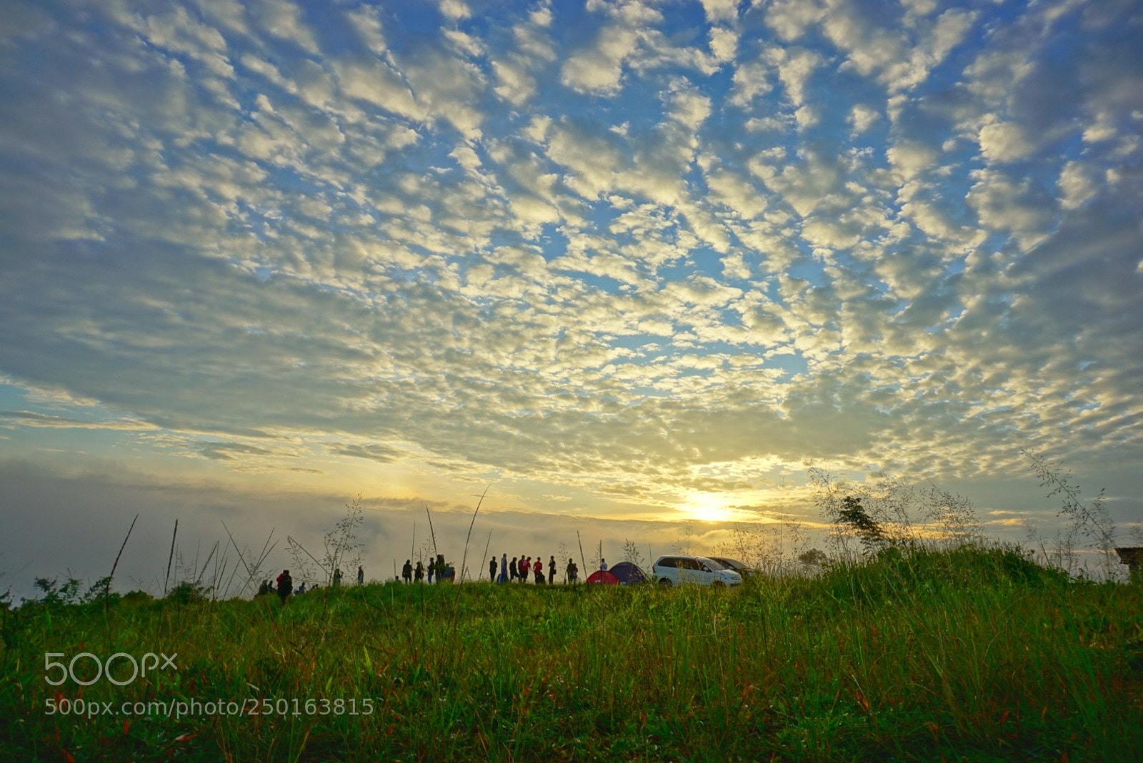 Sony a6000 sample photo. Untitled photography