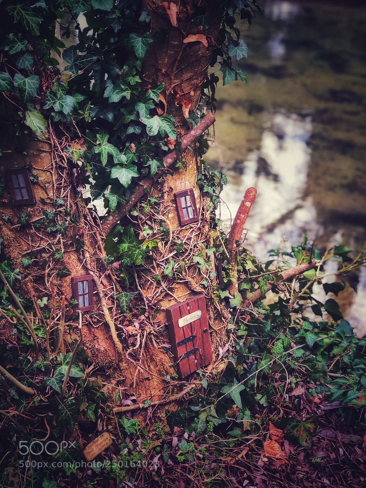 Apple iPhone 8 Plus sample photo. A fairy house photography