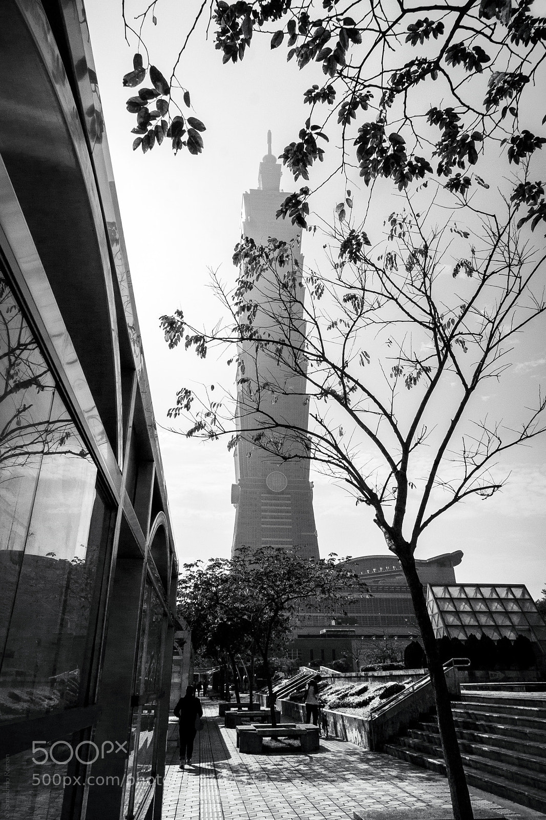 Canon EOS 350D (EOS Digital Rebel XT / EOS Kiss Digital N) sample photo. Taipei 101 photography