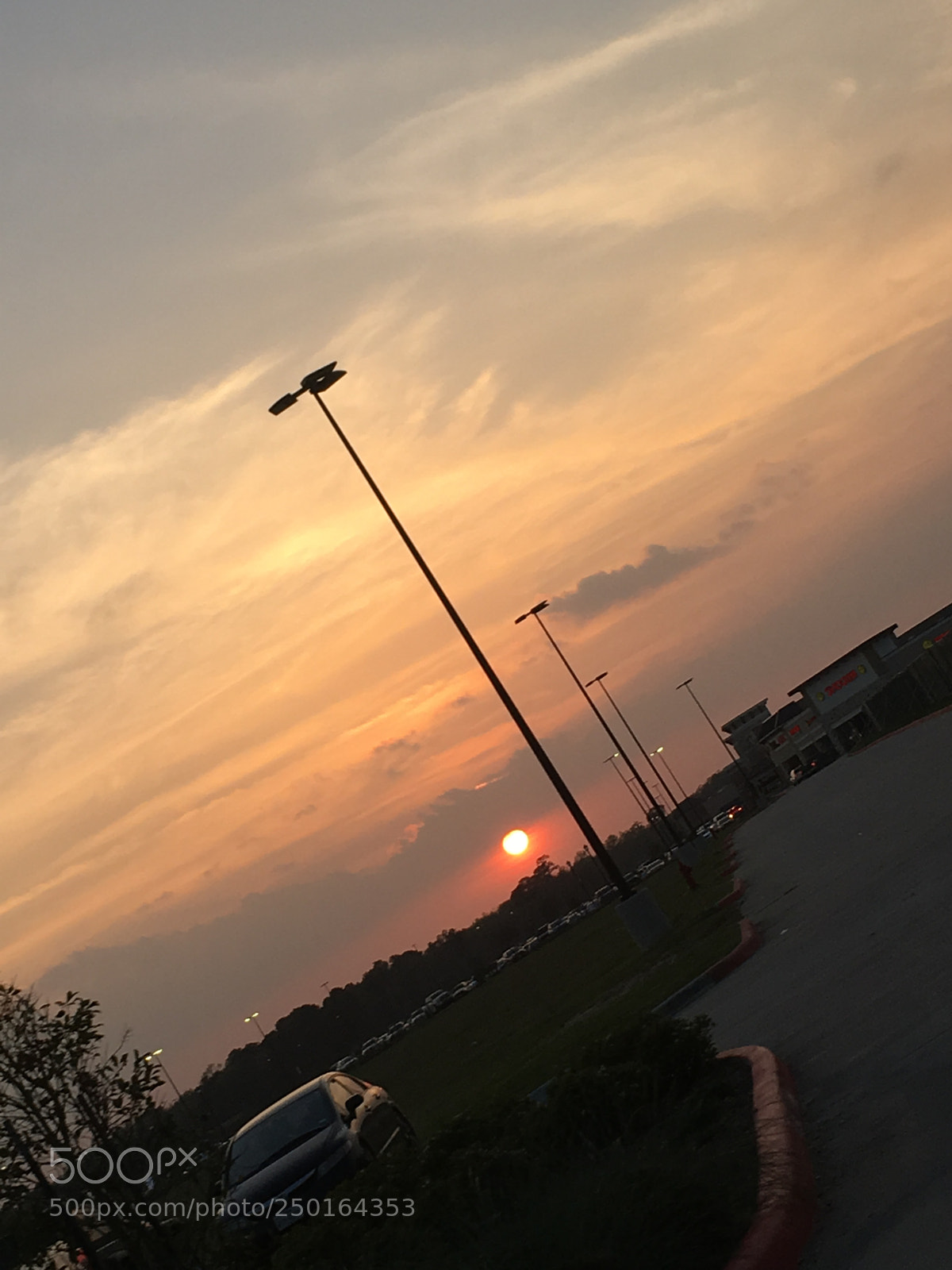 Apple iPhone 6s Plus sample photo. Dbbae de eebd photography