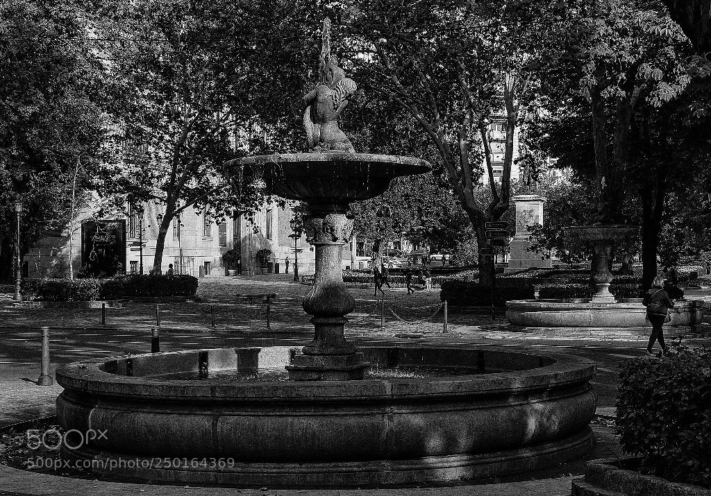 Nikon D90 sample photo. Fuente estaciones photography