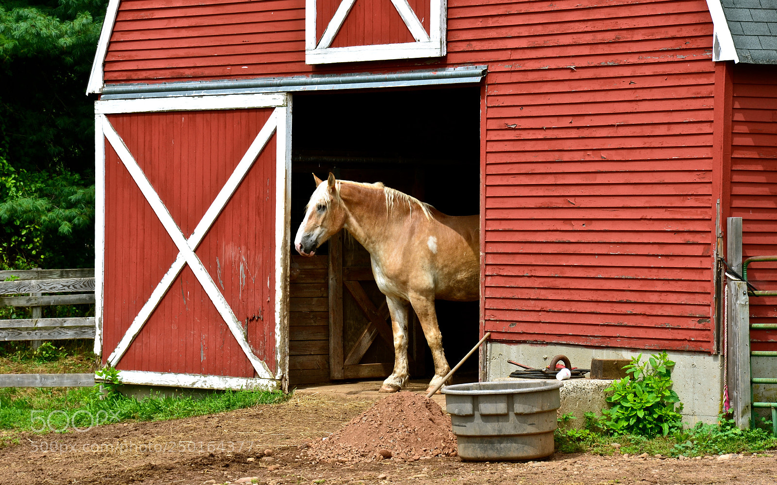 Nikon D7000 sample photo. Greeting the day photography