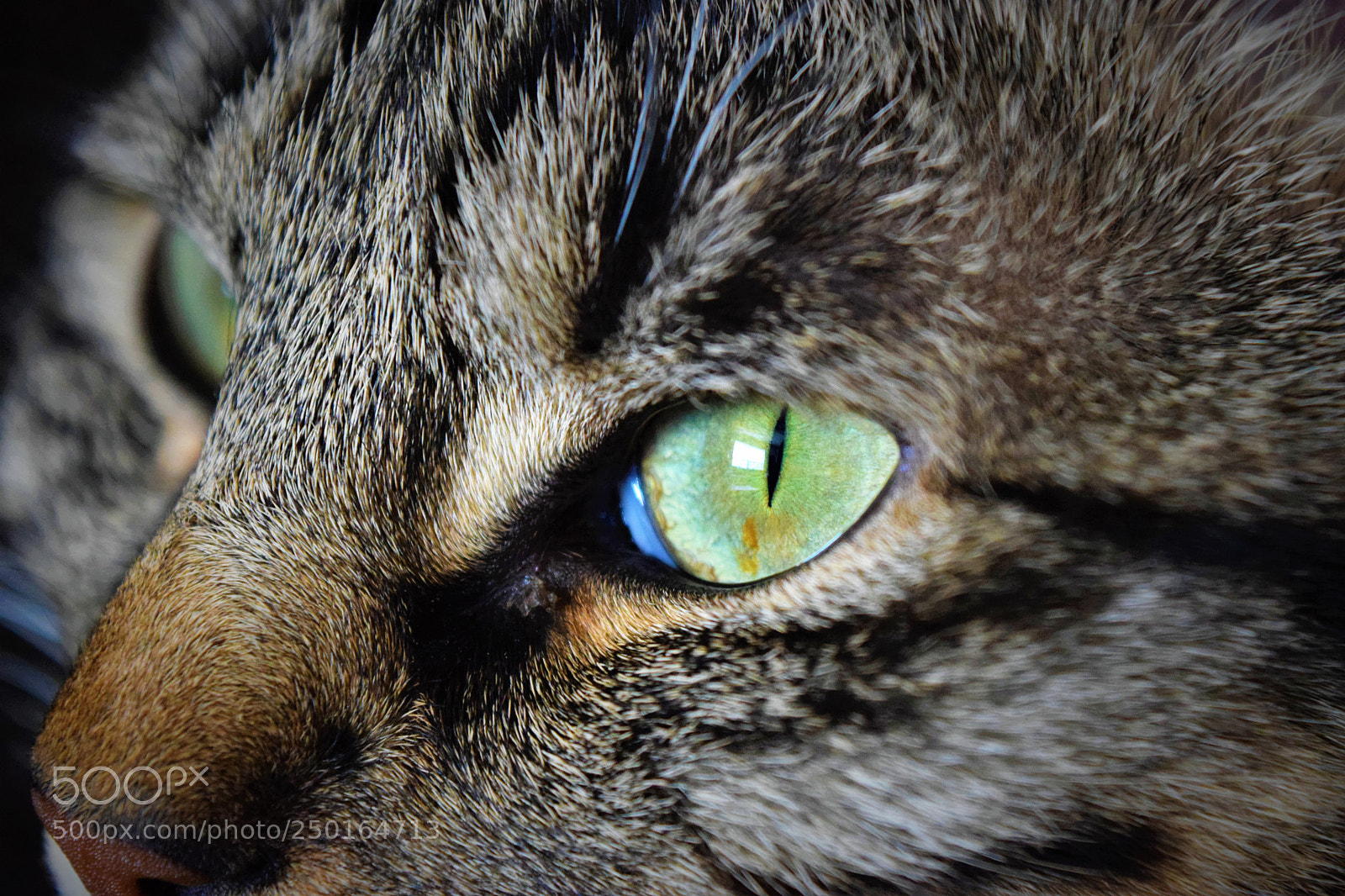 Nikon D3300 sample photo. I see you photography