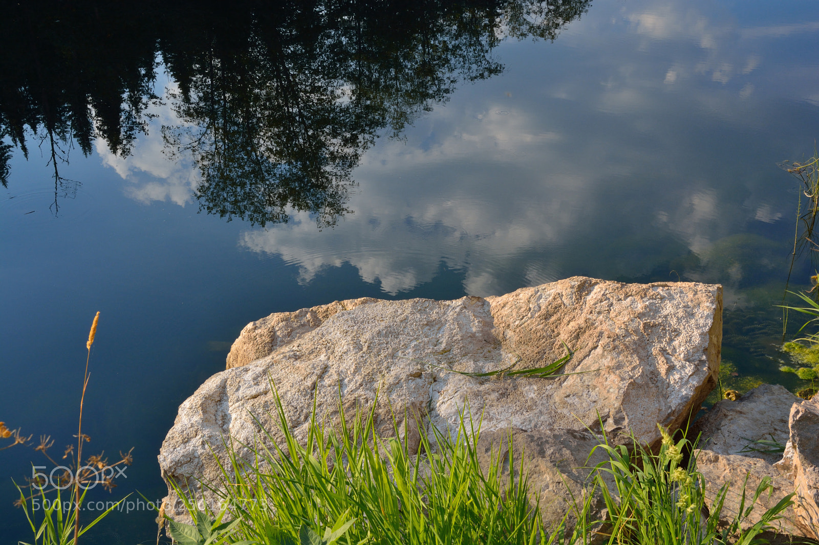 Nikon D5200 sample photo. Edfaorig photography